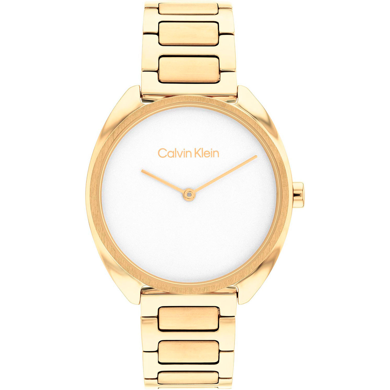 Часы Calvin Klein 25200276